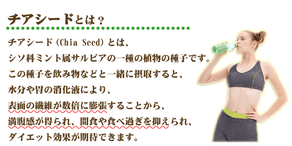 �`�A�V�[�h�����P